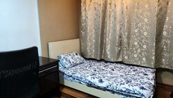 Blk 113 Woodlands Street 13 (Woodlands), HDB Executive #635548081